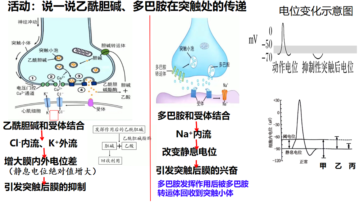 18275450第6页