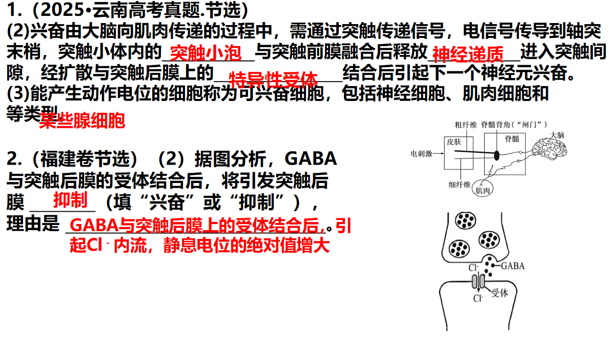 18275450第7页