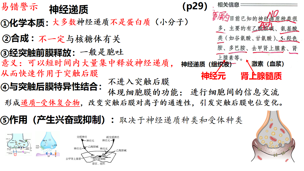 18275450第8页