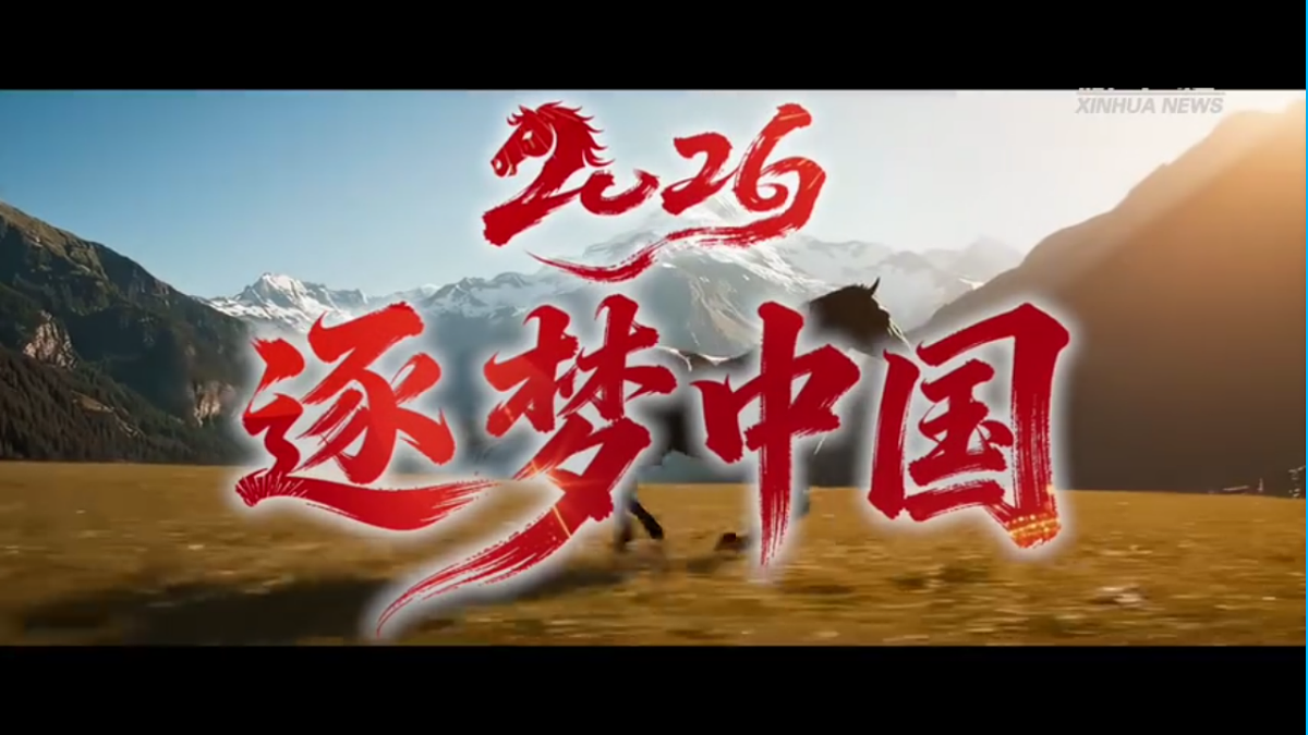 18275473第2页