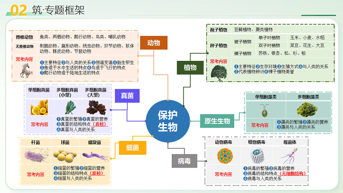 18275499第6页