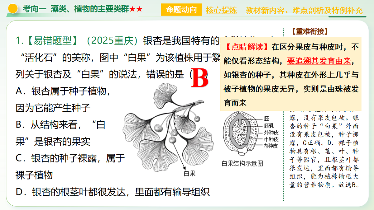 18275499第8页