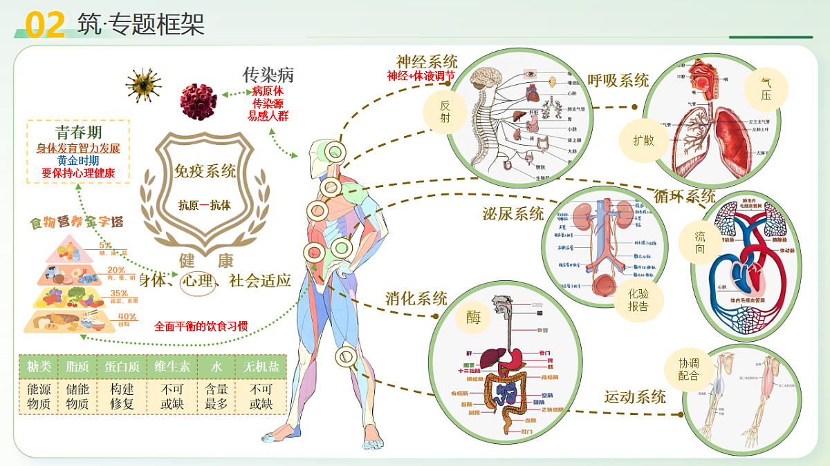 18275500第6页