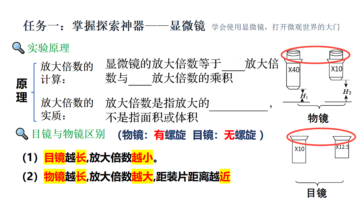 18275525第4页
