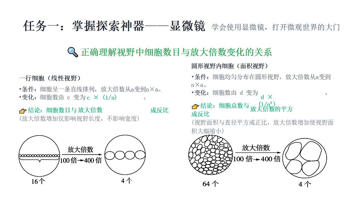 18275525第5页