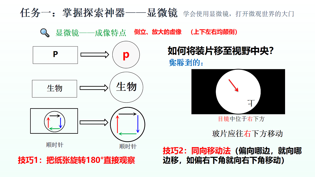 18275525第6页