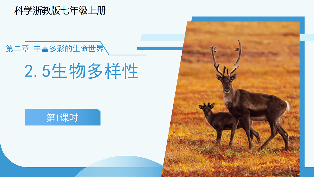 18276896第1页