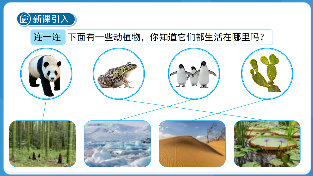 18276896第3页