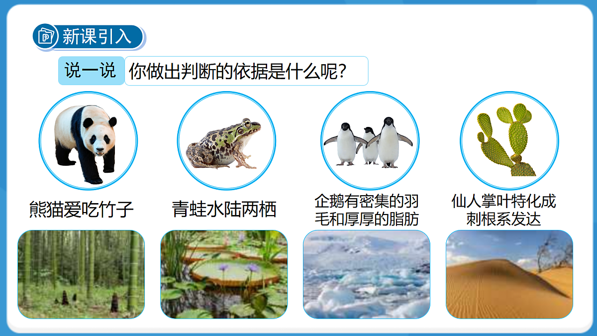 18276896第4页