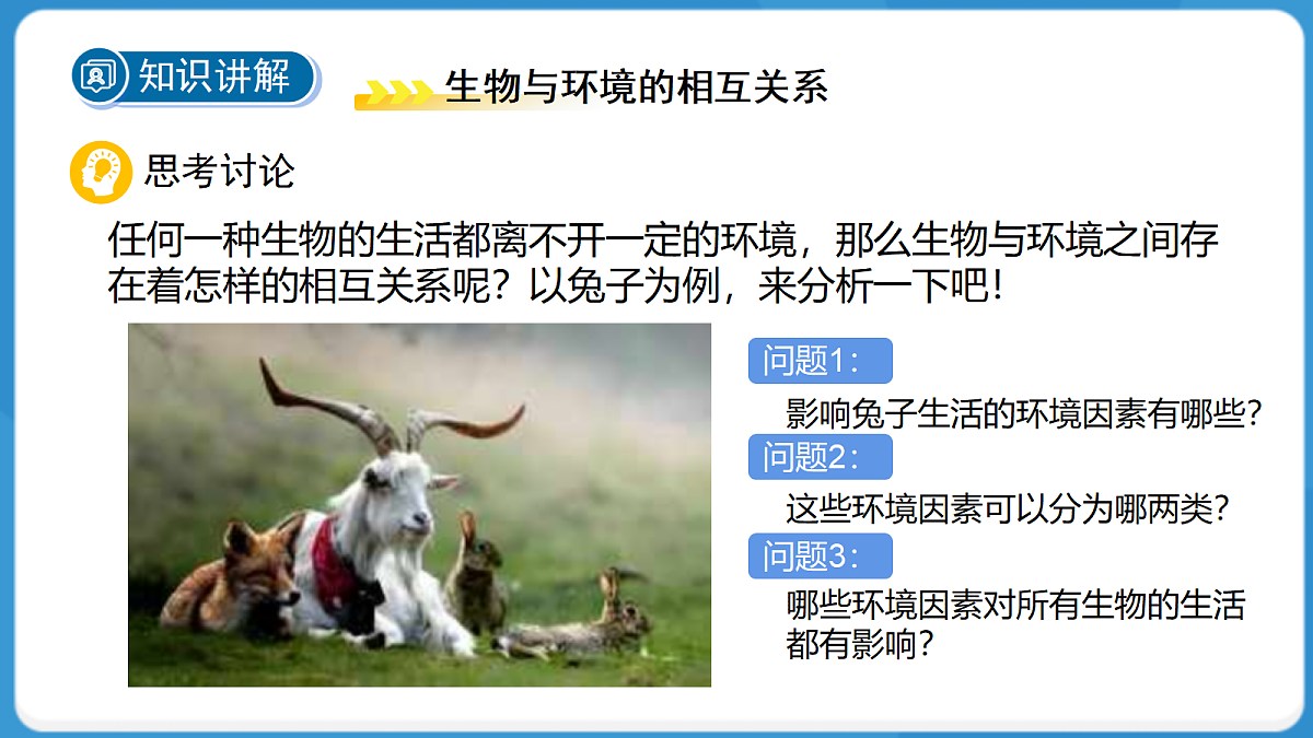 18276896第5页