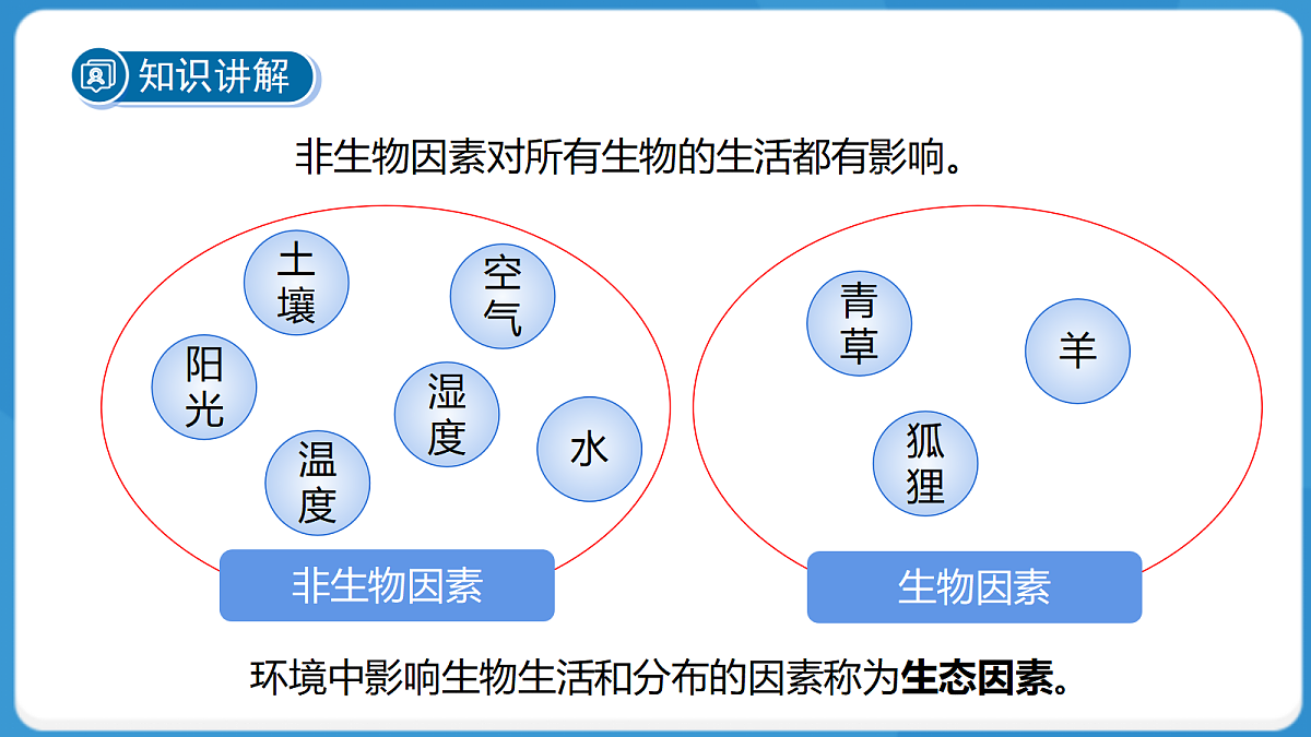 18276896第7页