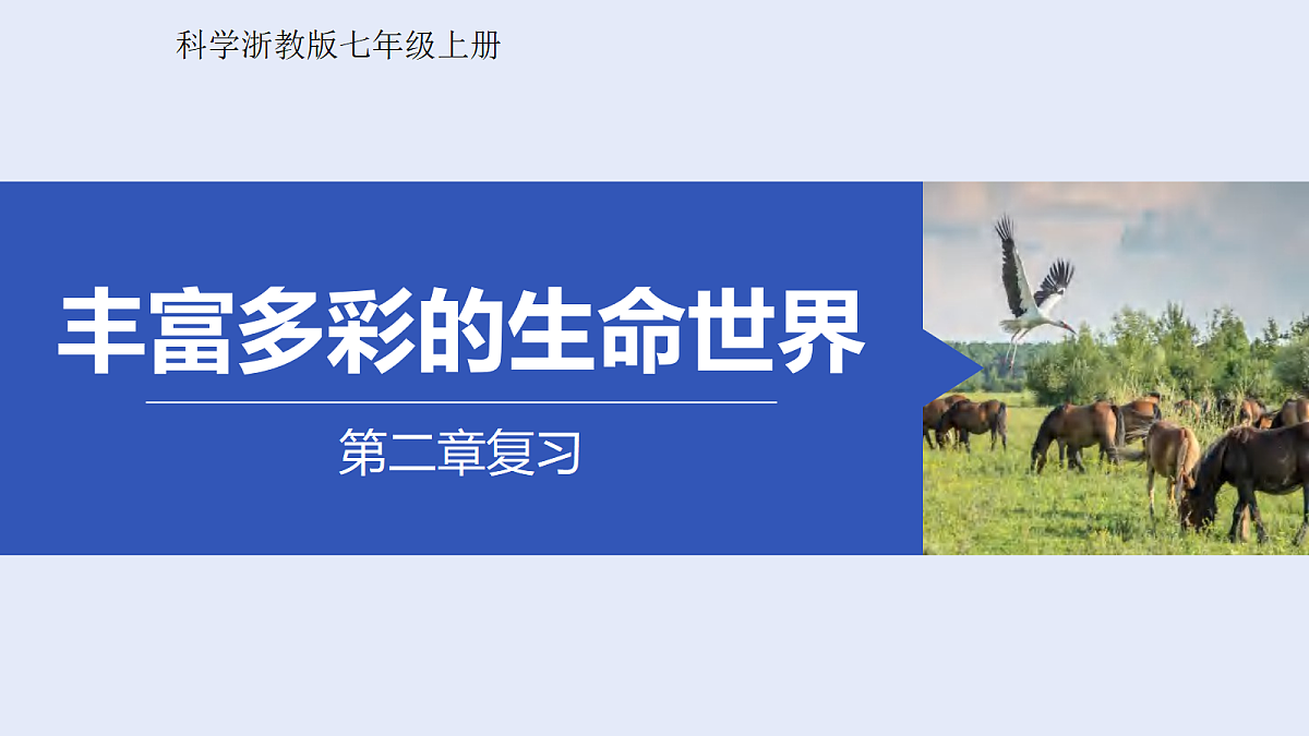 18276897第1页