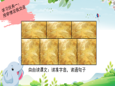 部编人教版小学语文二年级下册18.《大象的耳朵》教学课件