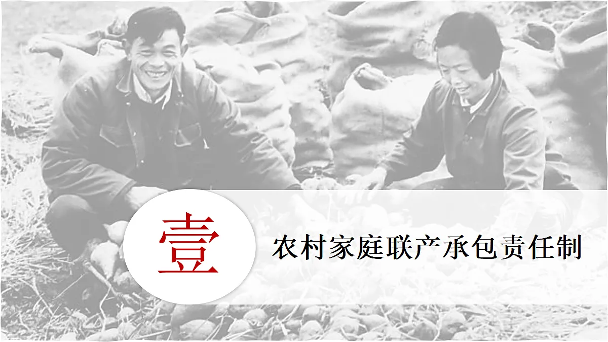 18277141第5页