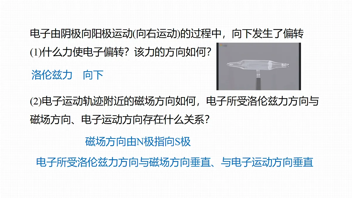 18277145第4页