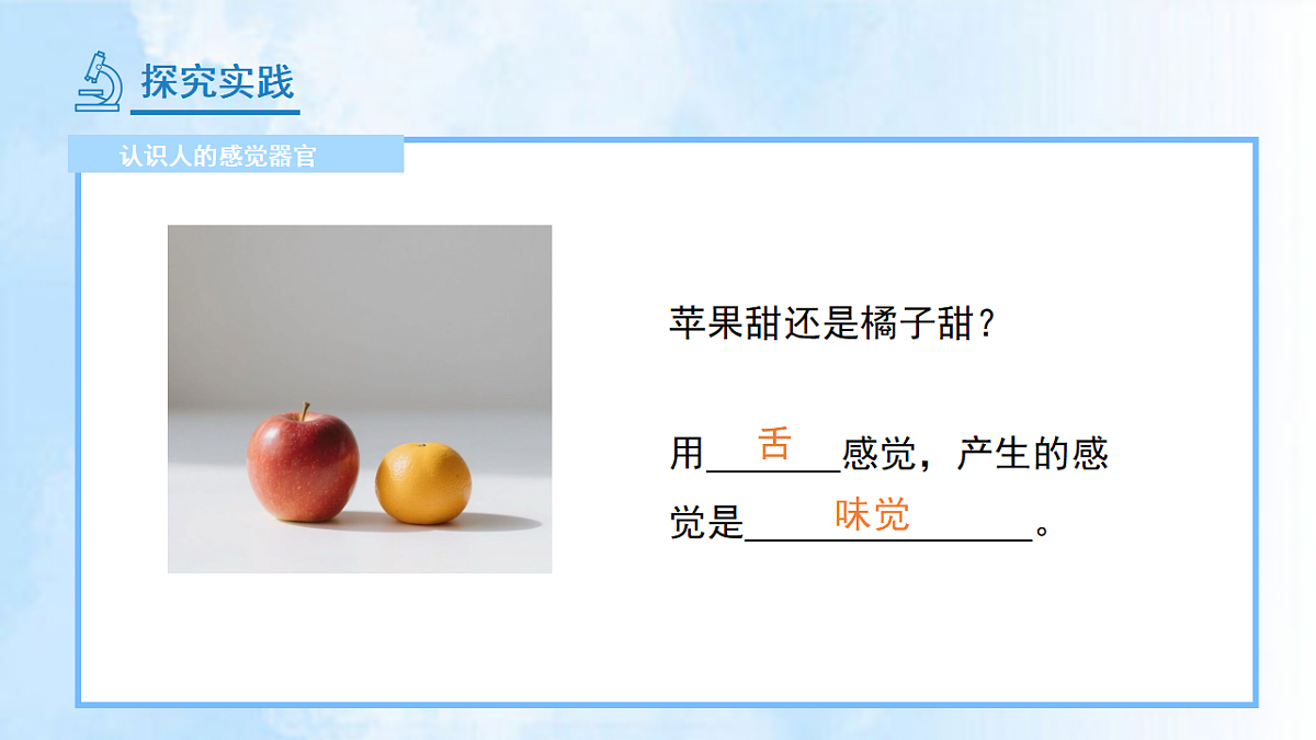 18277198第8页