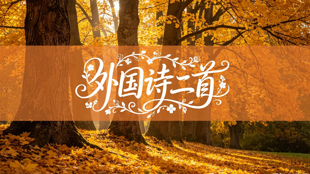 18277213第1页