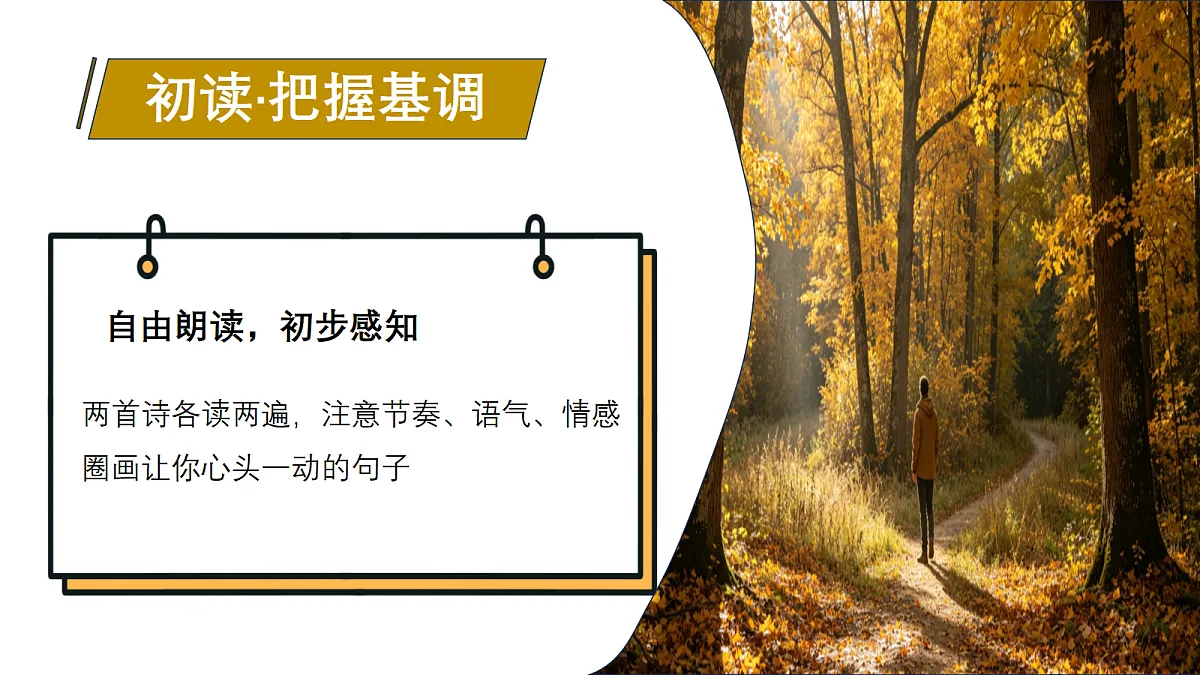 18277213第8页