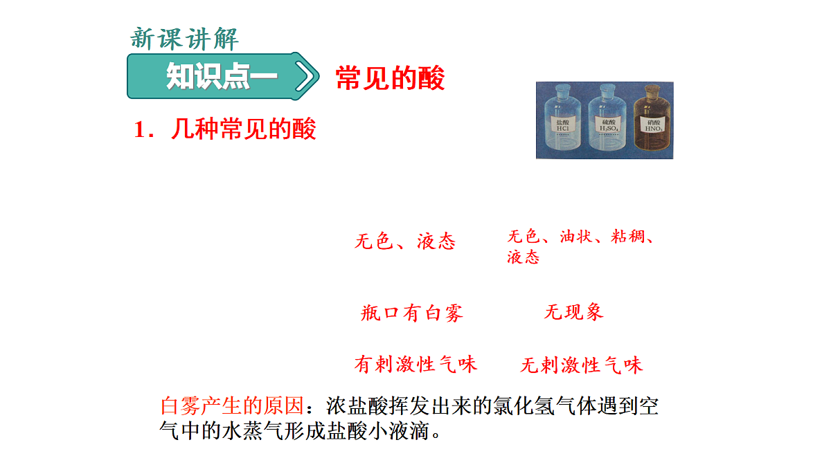 18277216第3页