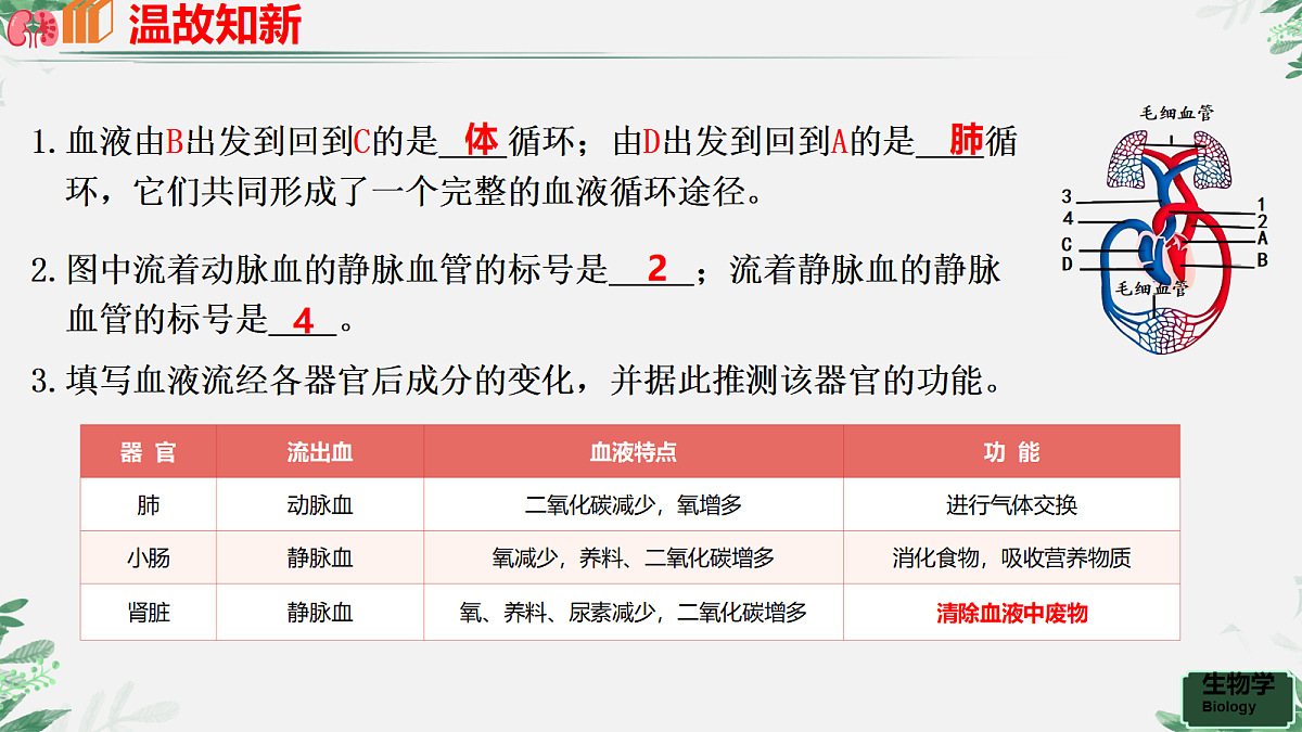 18277232第3页