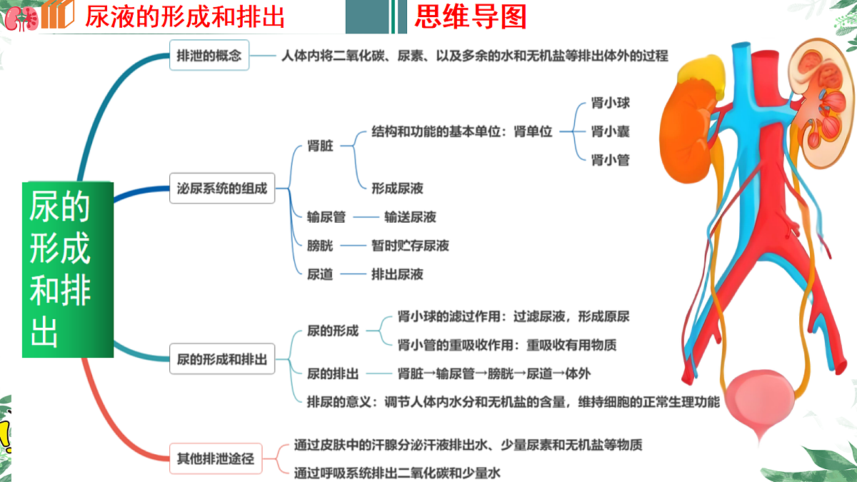 18277232第7页