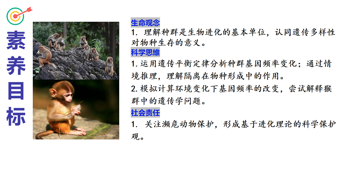18277285第2页