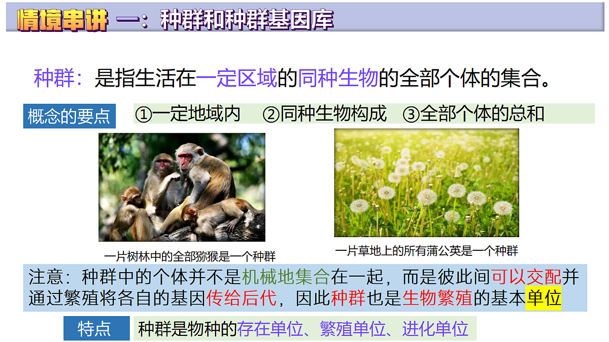 18277285第5页