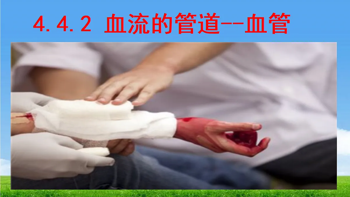 18277296第1页