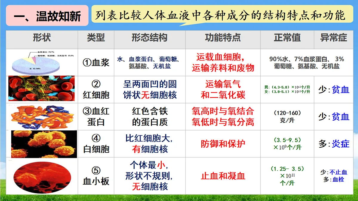 18277296第2页