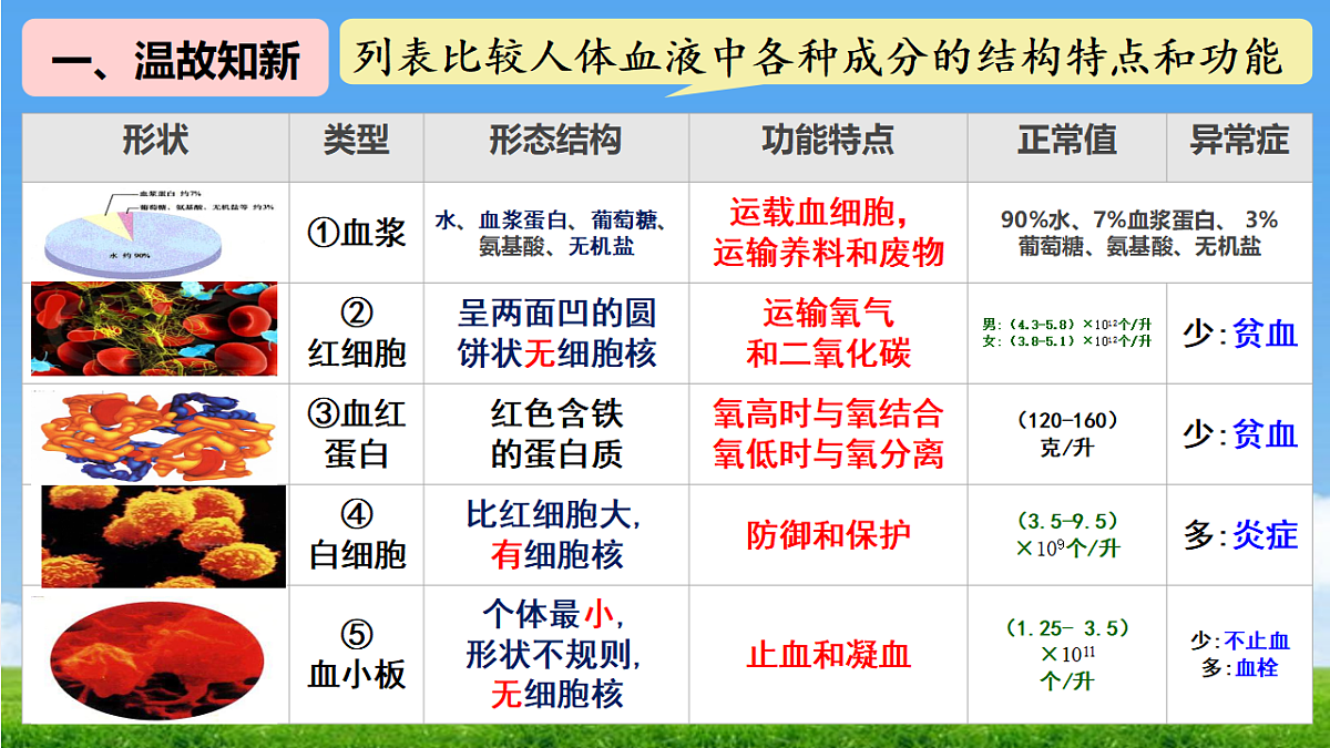 18277296第2页