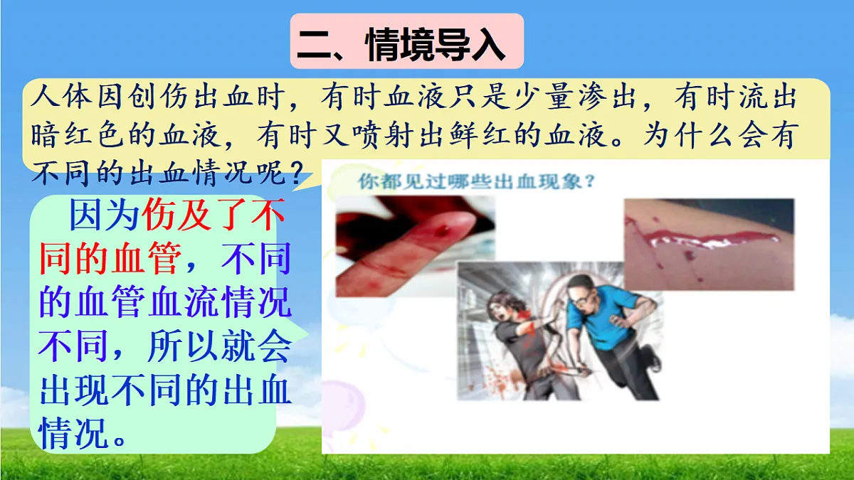 18277296第3页