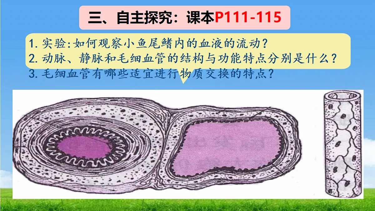 18277296第4页