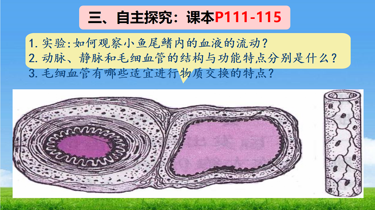 18277296第4页