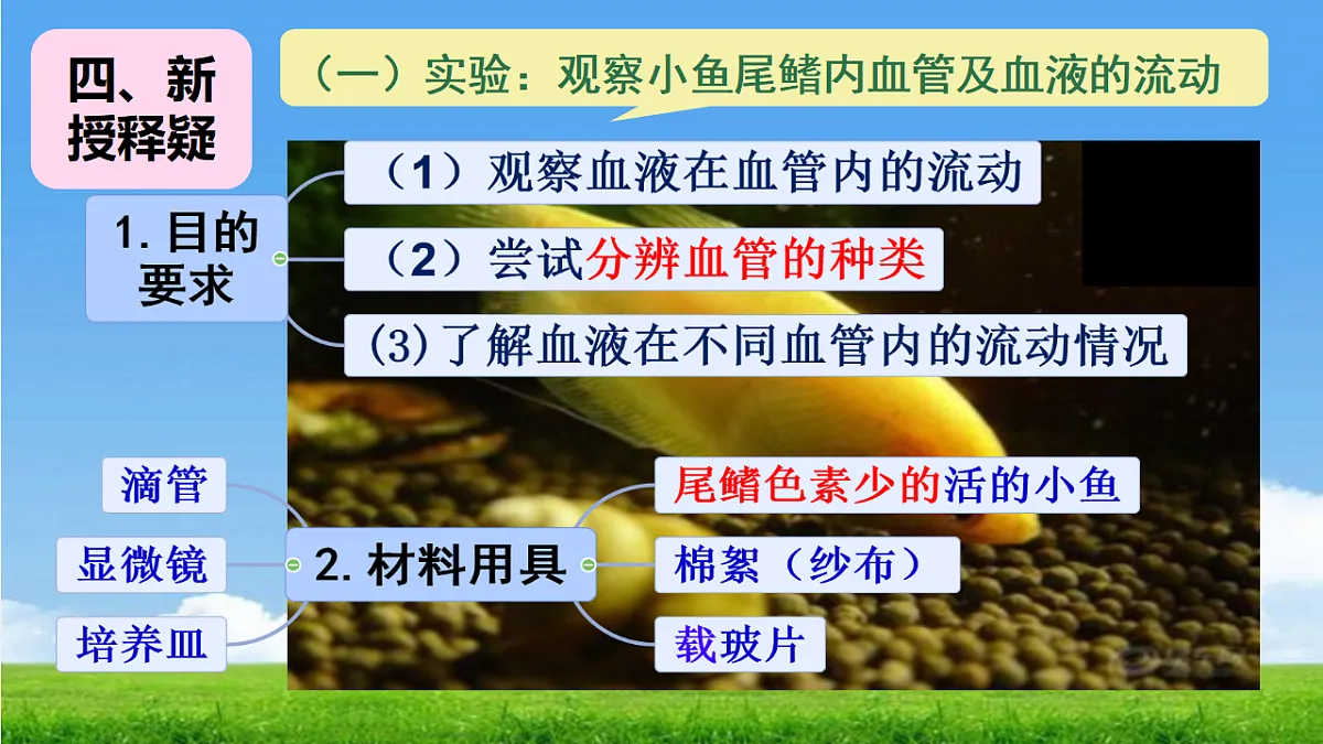 18277296第5页