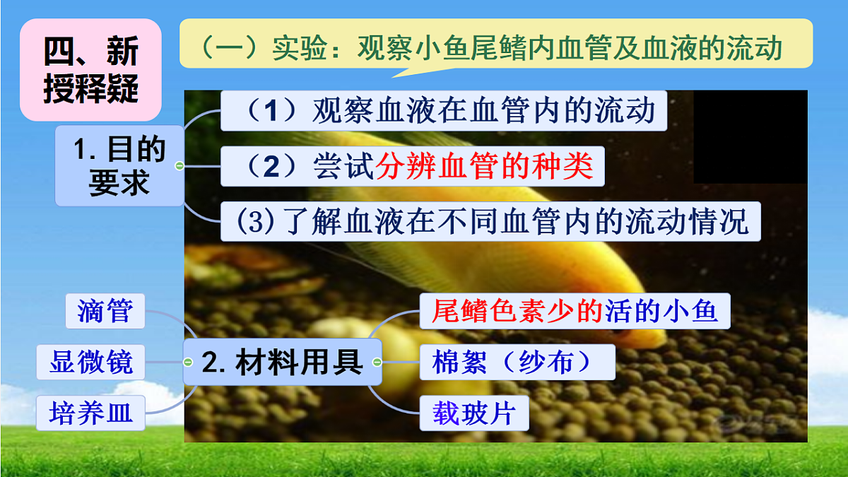 18277296第5页