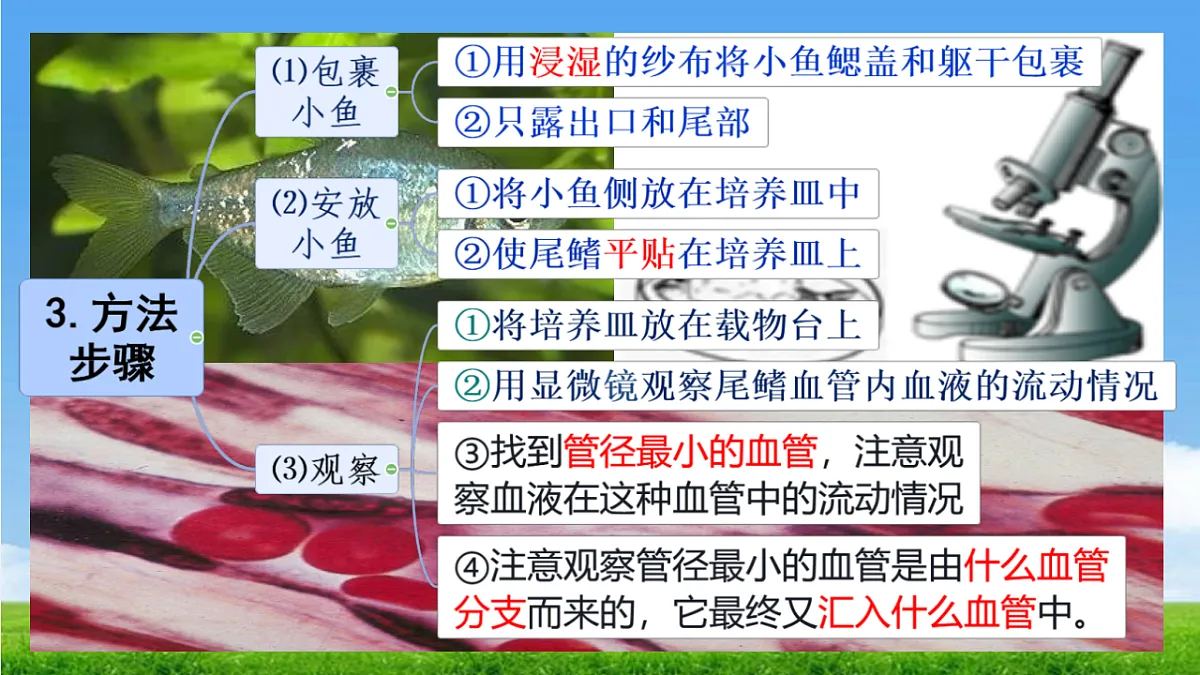 18277296第6页