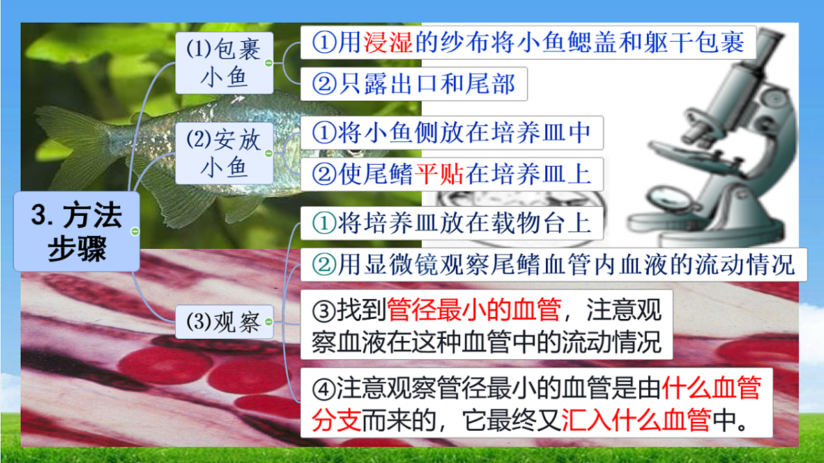 18277296第6页