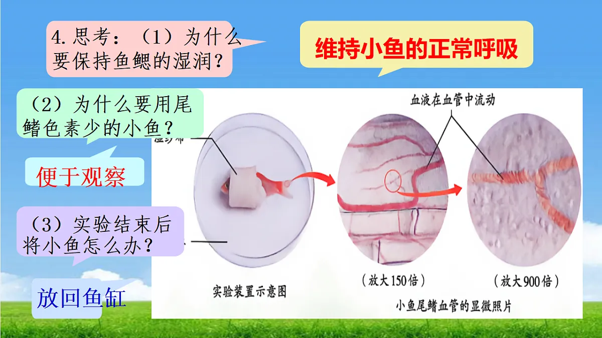 18277296第7页