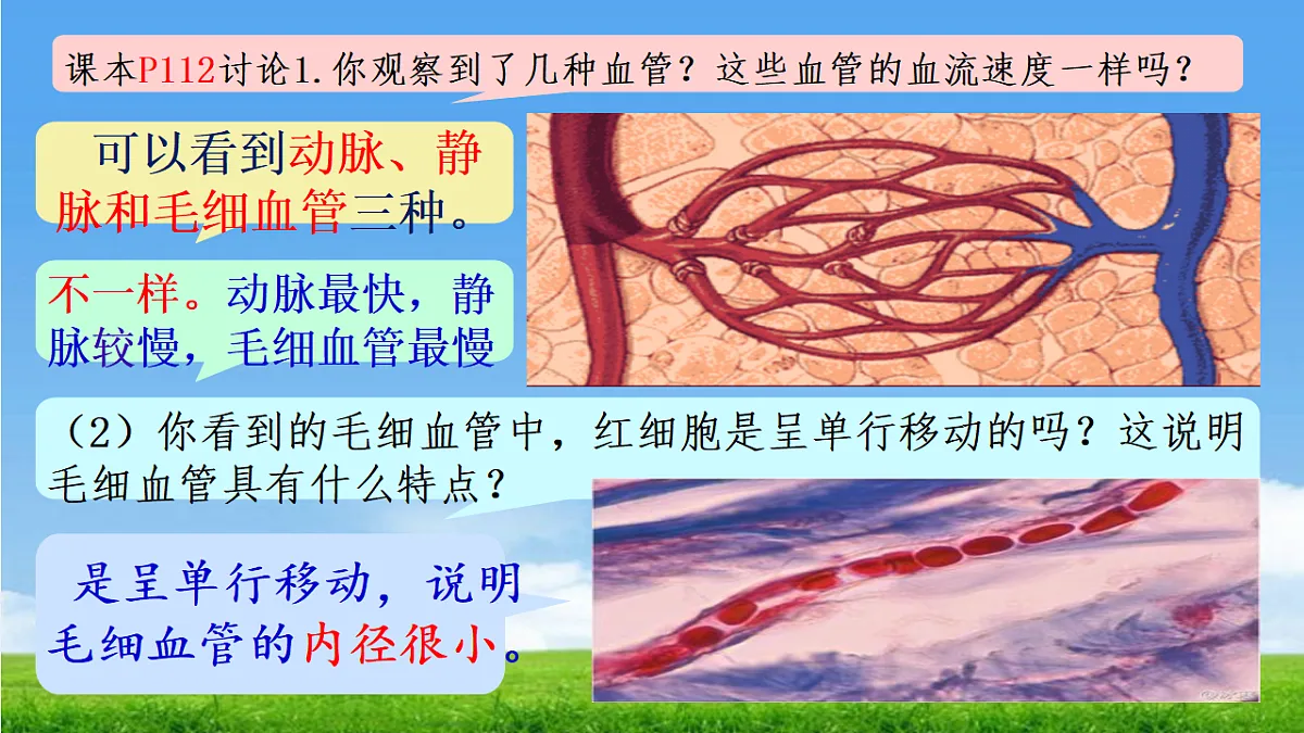 18277296第8页