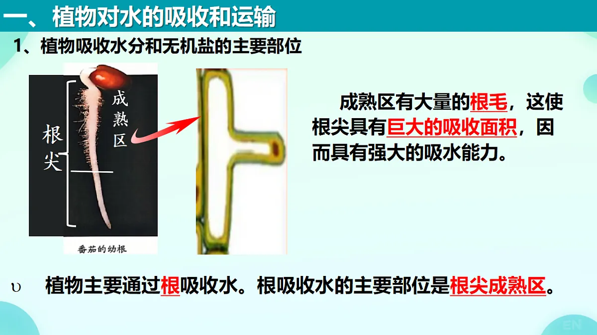 18277954第2页