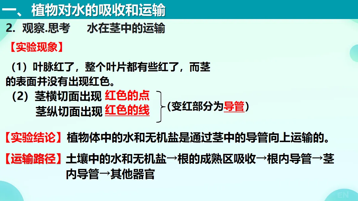 18277954第3页