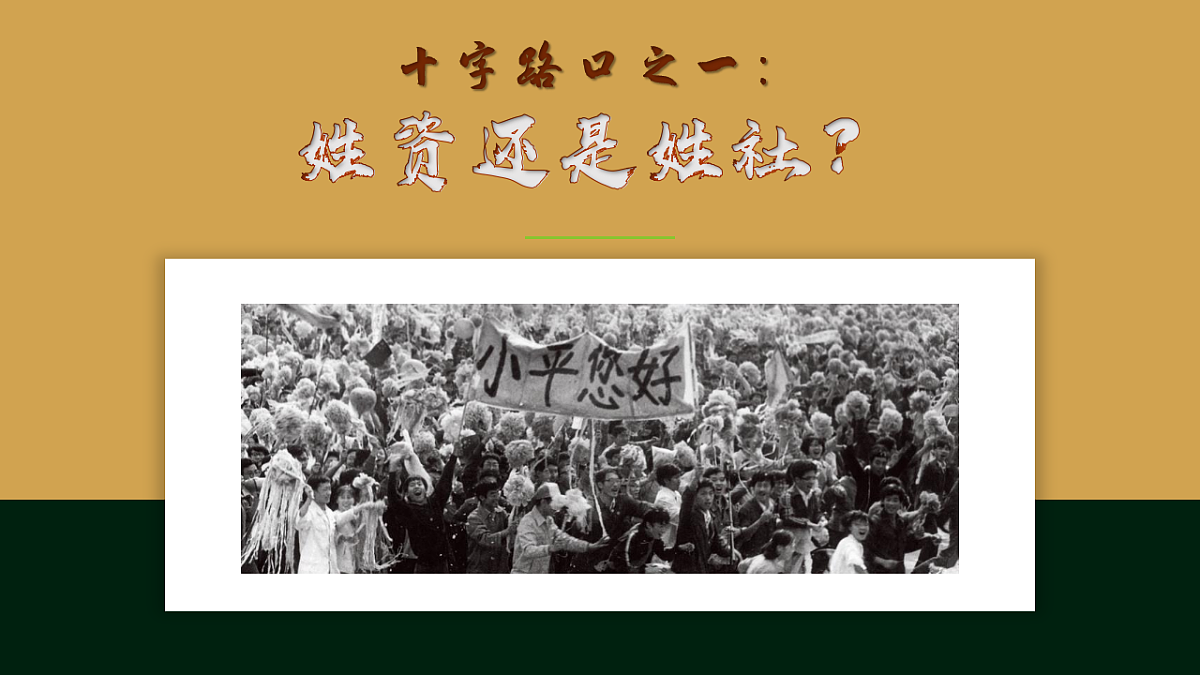 18278204第5页
