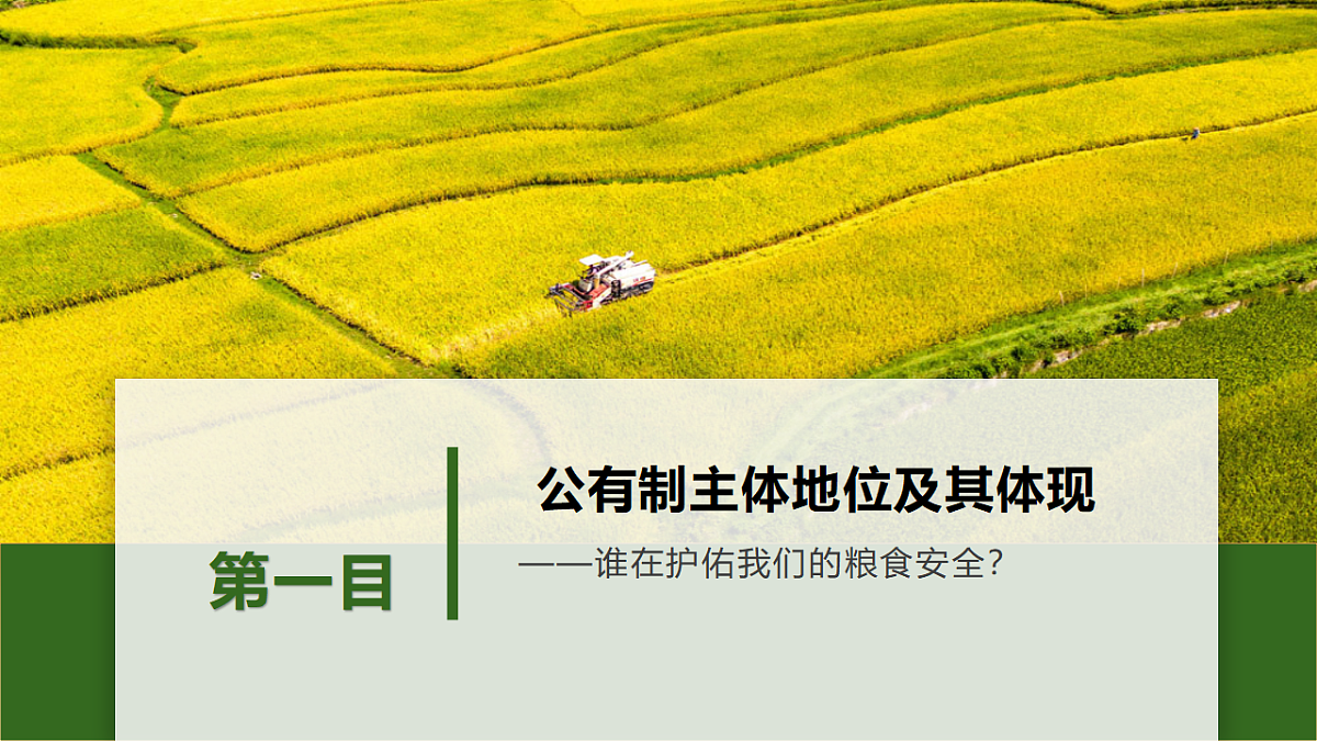 18278272第2页