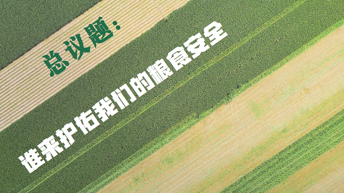 18278272第4页