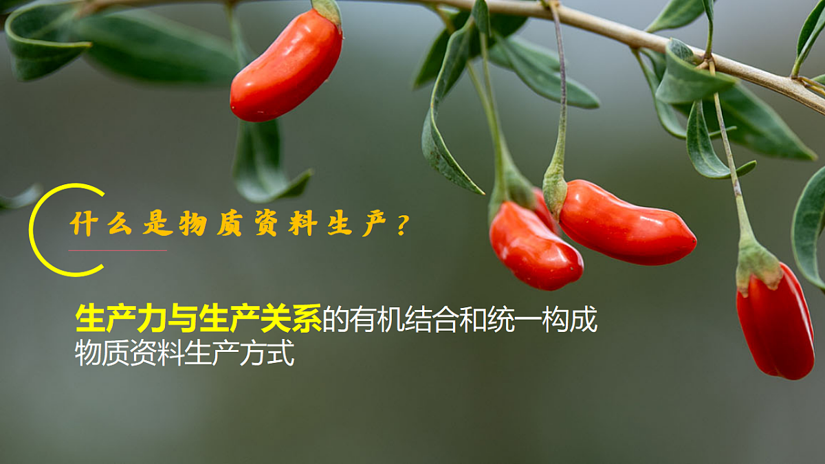 18278272第6页