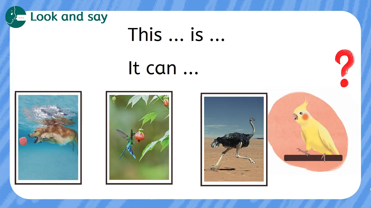 18278365第4页