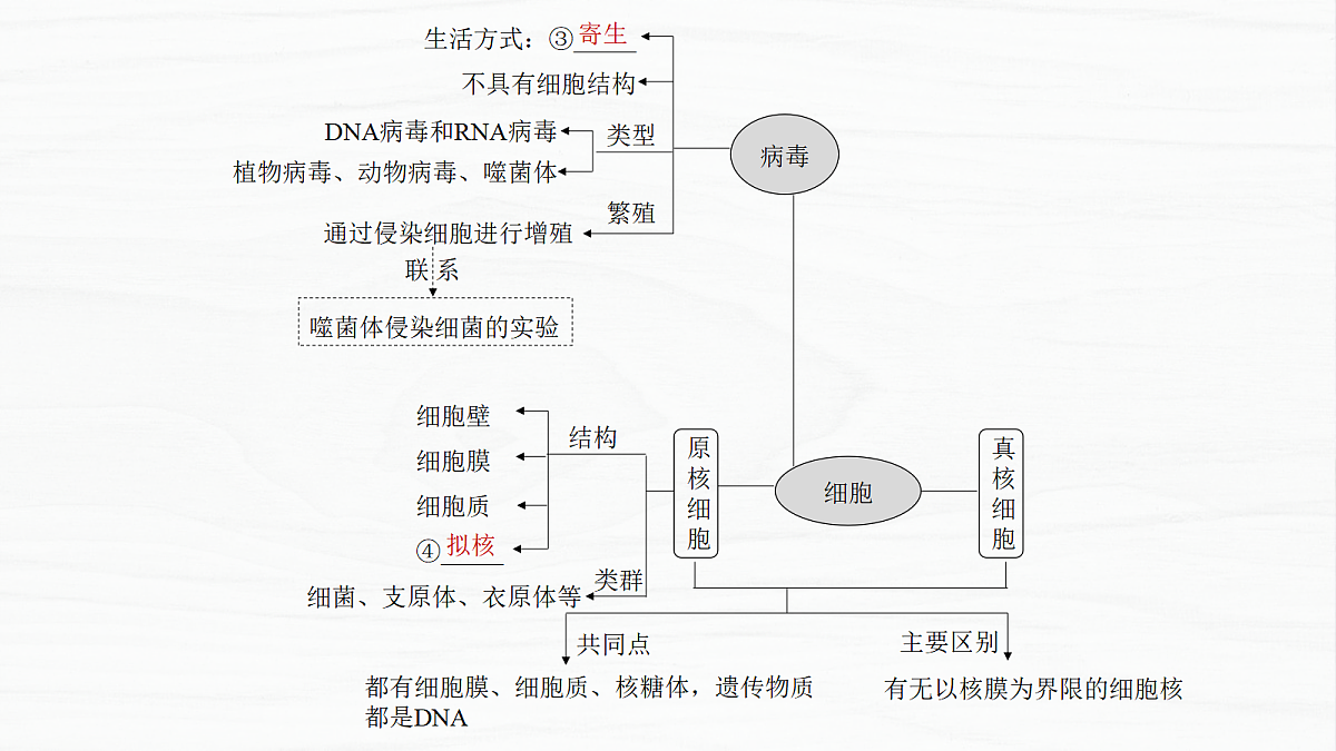 18278403第3页
