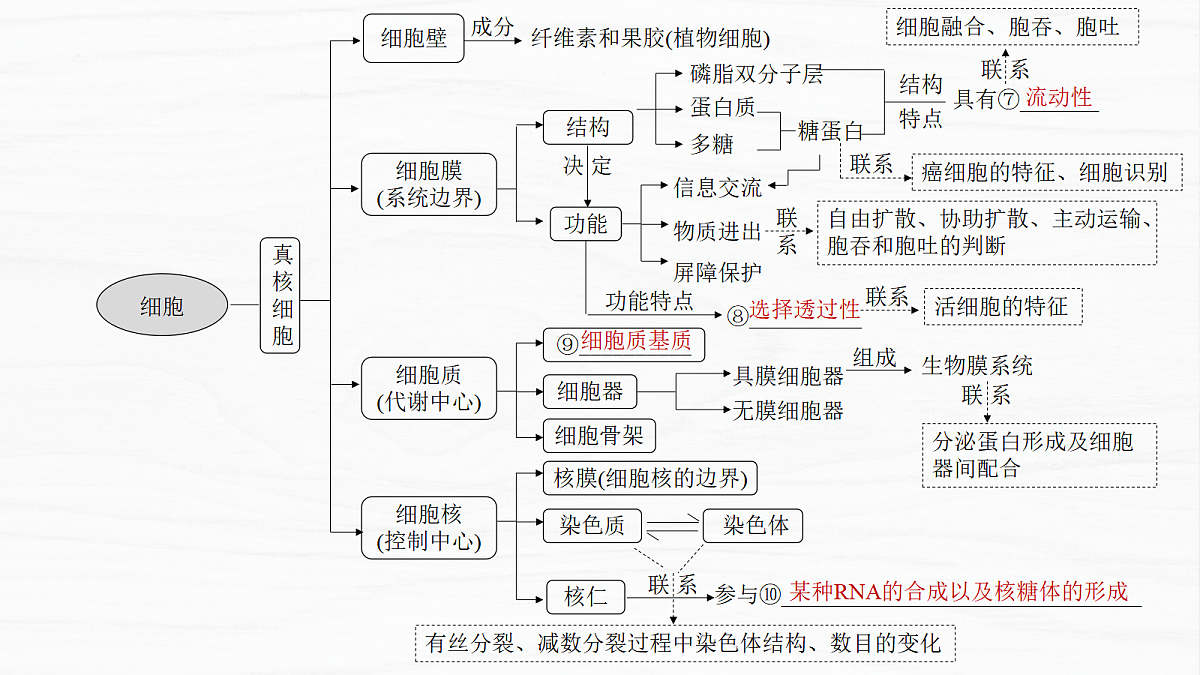 18278403第5页