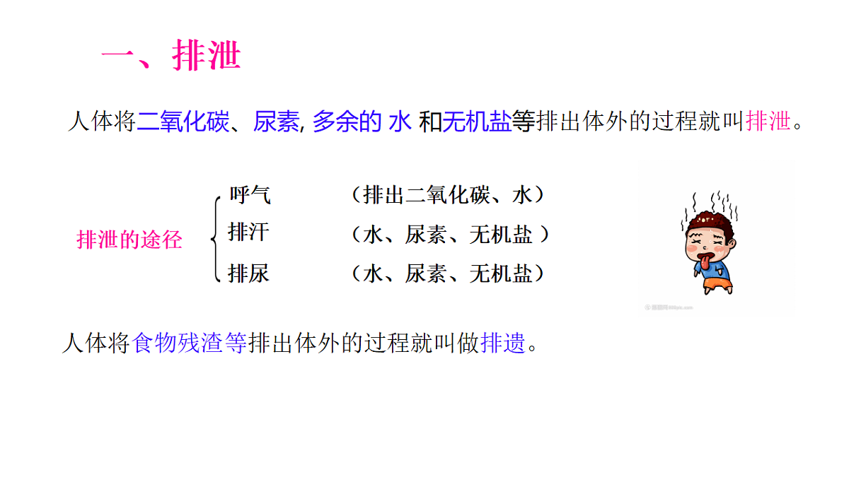 18278755第2页
