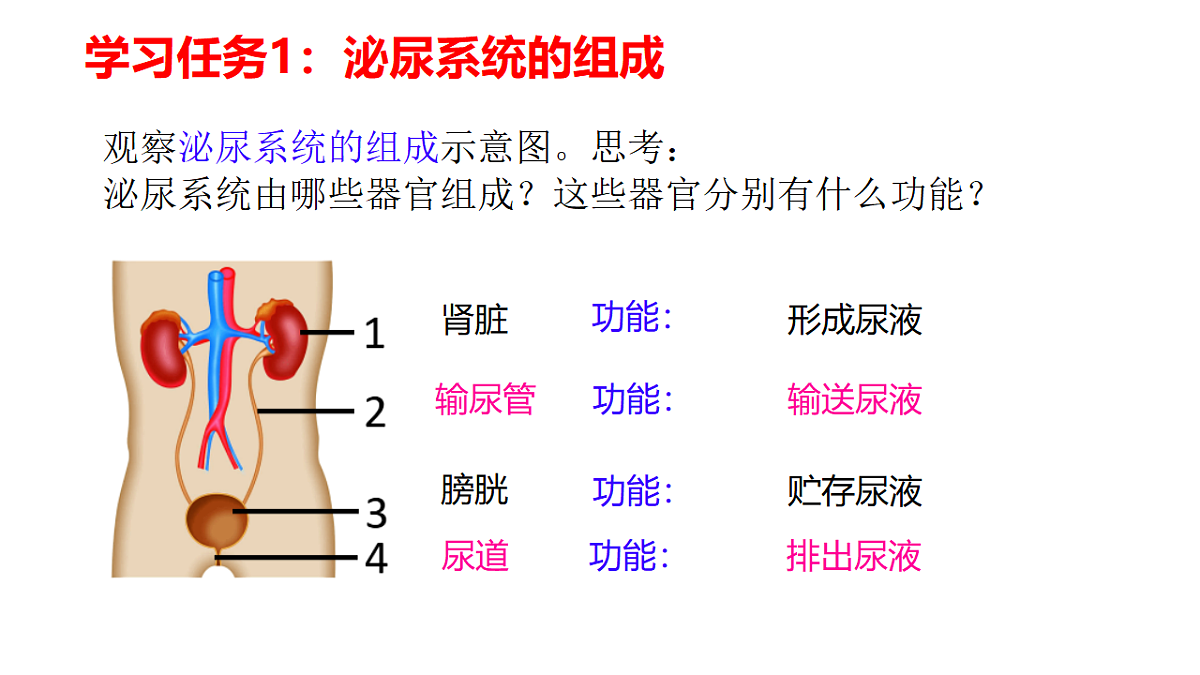 18278755第3页